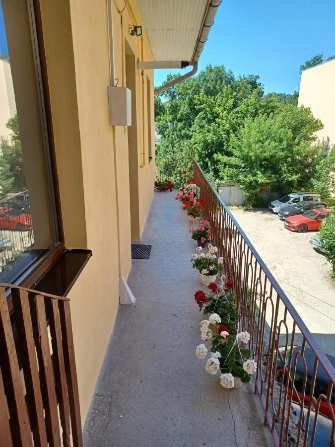 M20 Studios Клуж-Напока Экстерьер фото